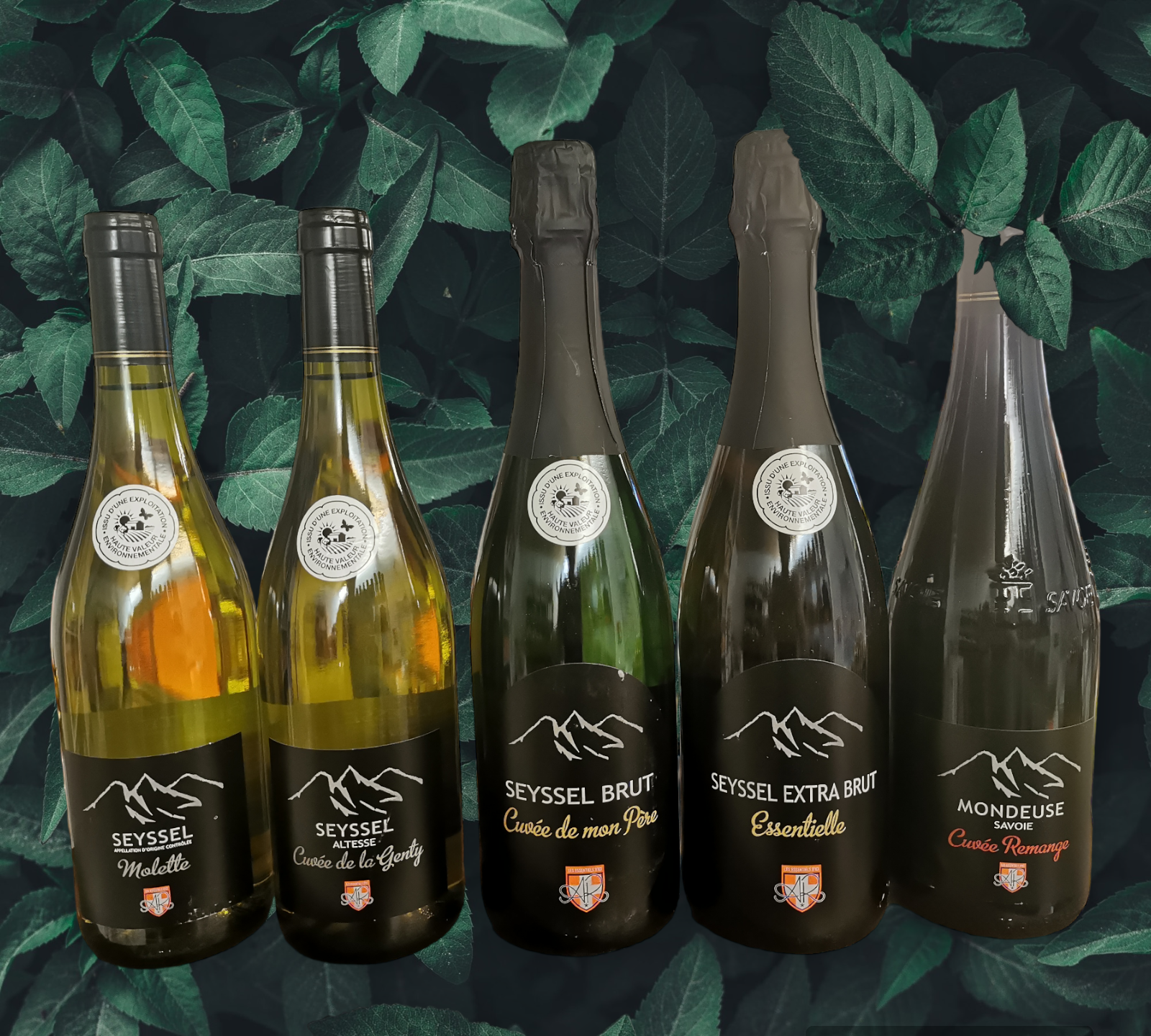 angele remy les essentiels d ici st gervais sallanches fayet vins Seyssel savoie mondial relay